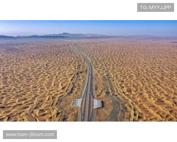 聚焦乌海足球联赛赛季战绩全景解析与精彩瞬间深度回顾报道集精编